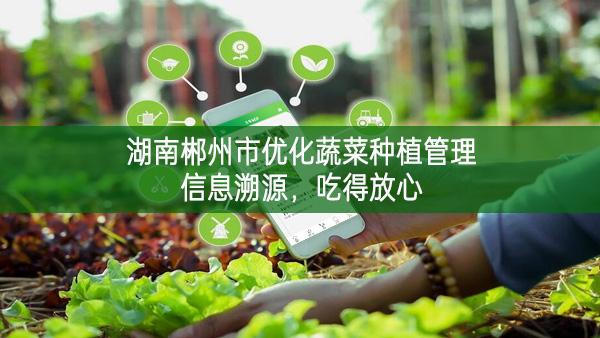 湖南郴州市优化蔬菜种植管理信息溯源，吃得放心