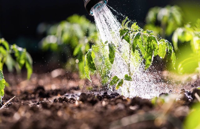 智能水肥一体控制系统，农业现代化的重要推动力
