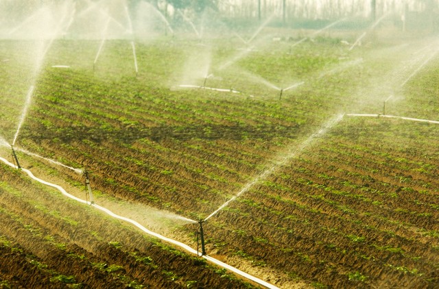 智能水肥一体控制系统，实现精准农业管理的关键工具