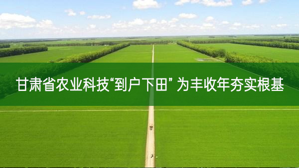 甘肃省农业科技“到户下田” 为丰收年夯实根基