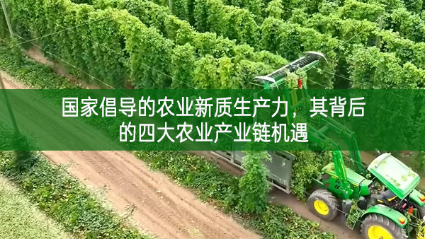 国家倡导的农业新质生产力，其背后的四大农业产业链机遇