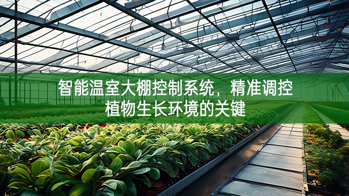 智能温室大棚控制系统，精准调控植物生长环境的关键