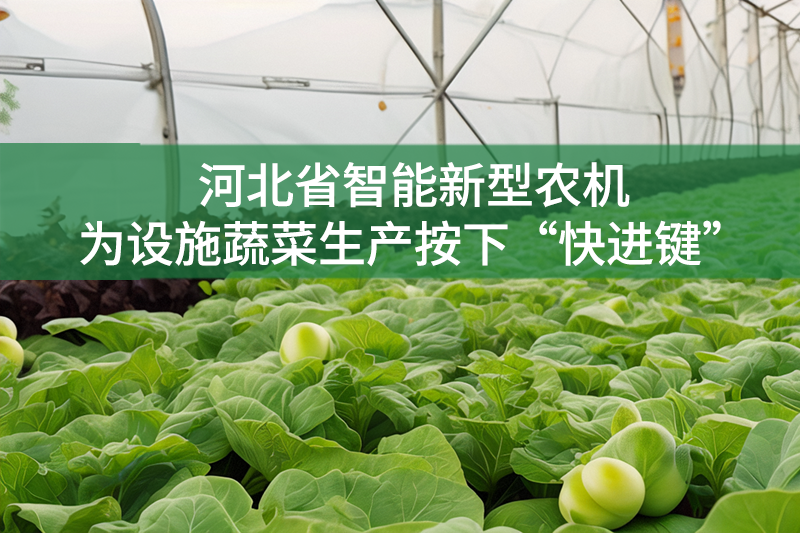 河北省智能新型农机为设施蔬菜生产按下“快进键”
