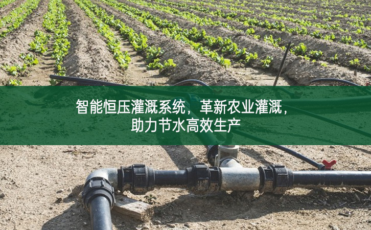 智能恒压灌溉系统，革新农业灌溉，助力节水高效生产