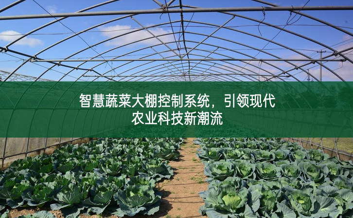智慧蔬菜大棚控制系统，引领现代农业科技新潮流