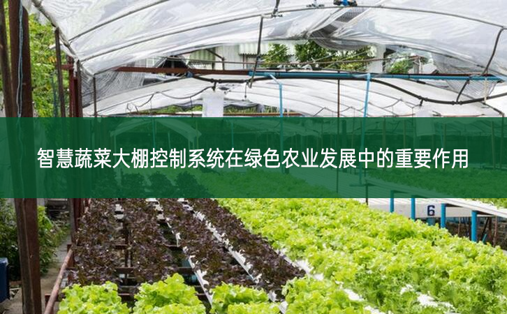 智慧蔬菜大棚控制系统在绿色农业发展中的重要作用