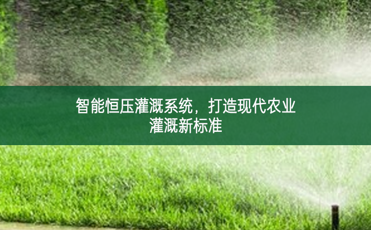 智能恒压灌溉系统，打造现代农业灌溉新标准