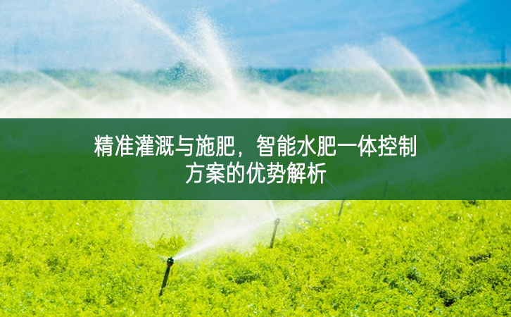 精准灌溉与施肥，智能水肥一体控制方案的优势解析