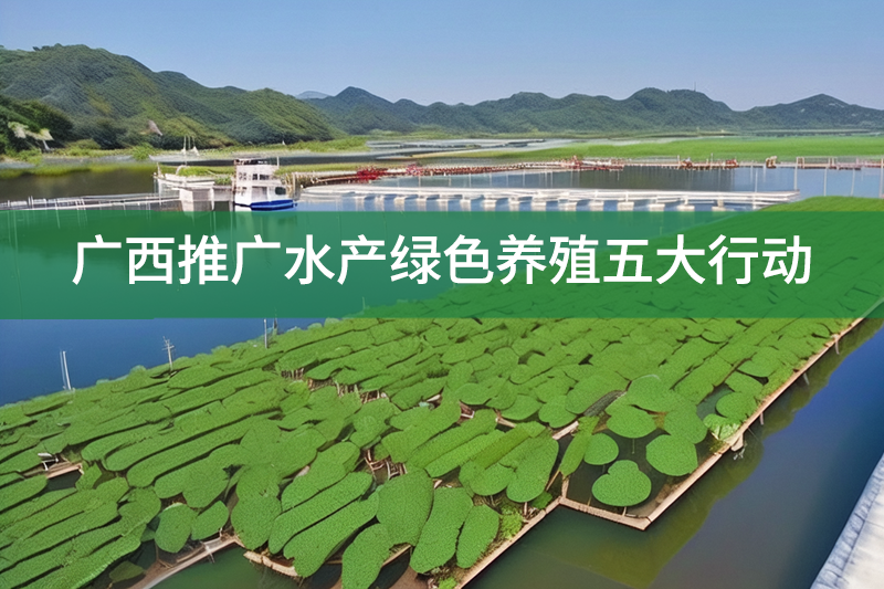 广西推广水产绿色养殖五大行动