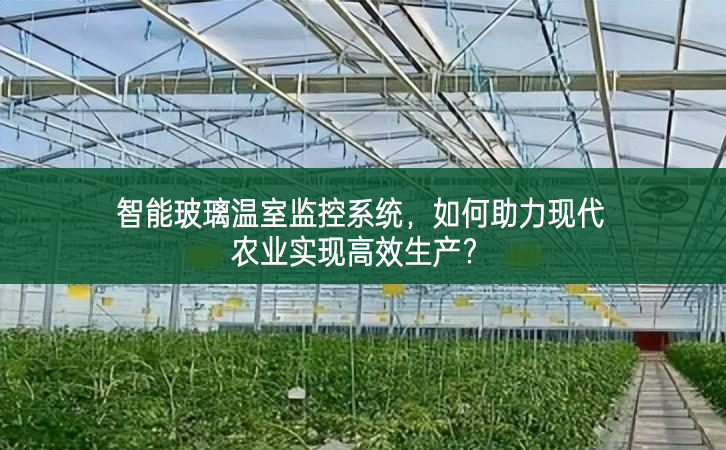 智能玻璃温室监控系统，如何助力现代农业实现高效生产?