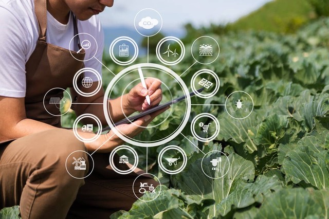 揭秘农产品溯源系统，从田间到餐桌的全程追踪与监控