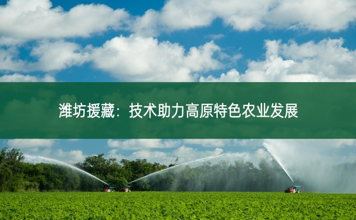 潍坊援藏：技术助力高原特色农业发展