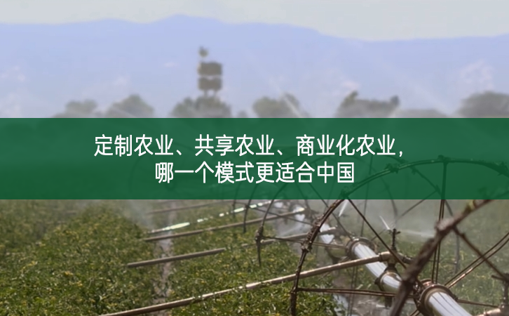 定制农业、共享农业、商业化农业，哪一个模式更适合中国