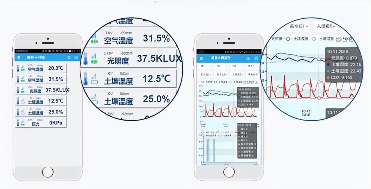 报表分析，数据分析