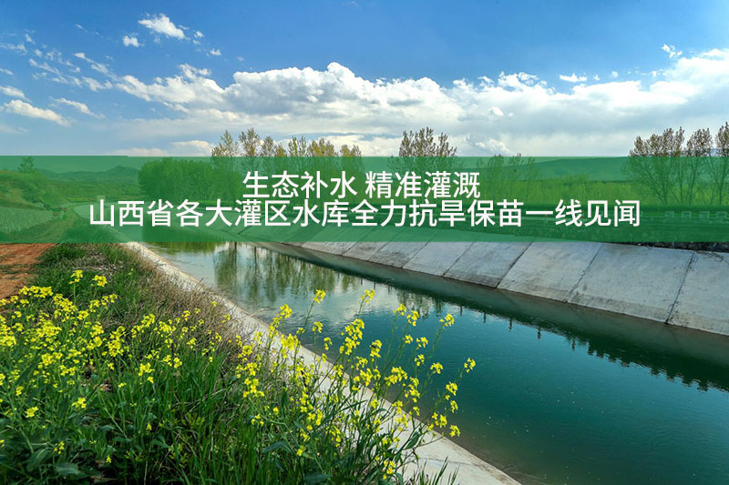 生态补水 精准灌溉 ——山西省各大灌区水库全力抗旱保苗一线见闻