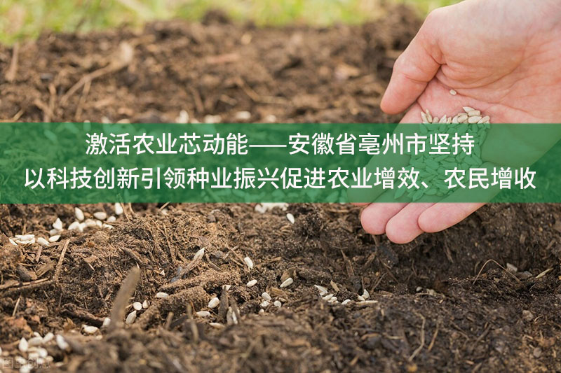 激活农业芯动能——安徽省亳州市坚持以科技创新引领种业振兴促进农业增效、农民增收