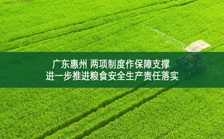 广东惠州 两项制度作保障支撑 进一步推进粮食安全生产责任落实