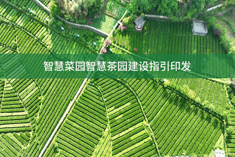 智慧菜园智慧茶园建设指引印发