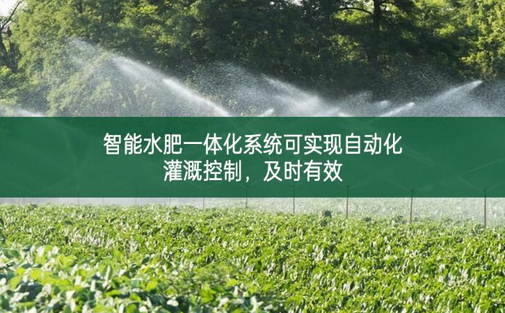 智能水肥一体化系统可实现自动化灌溉控制，及时有效