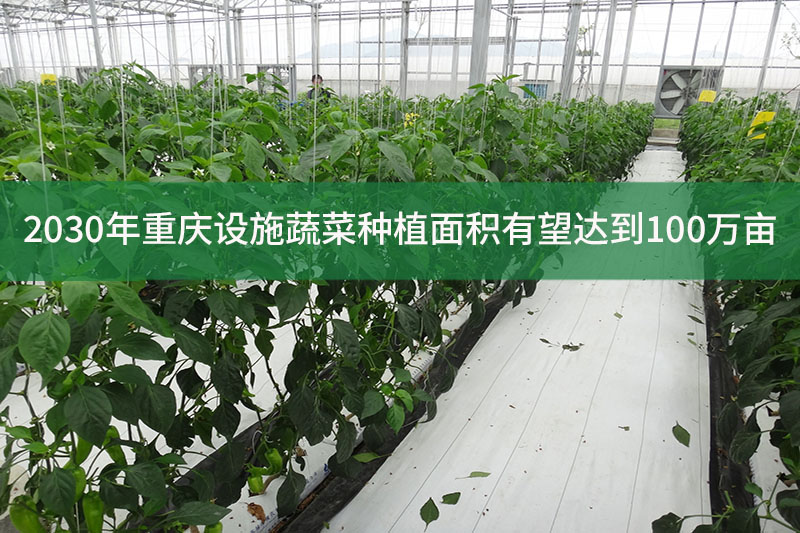 2030年重庆设施蔬菜种植面积有望达到100万亩