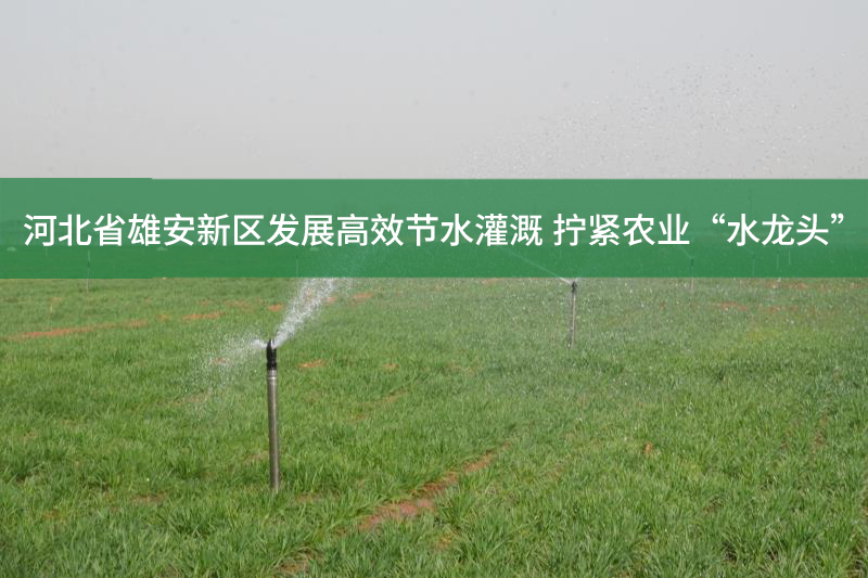 河北省雄安新区发展高效节水灌溉 拧紧农业“水龙头”