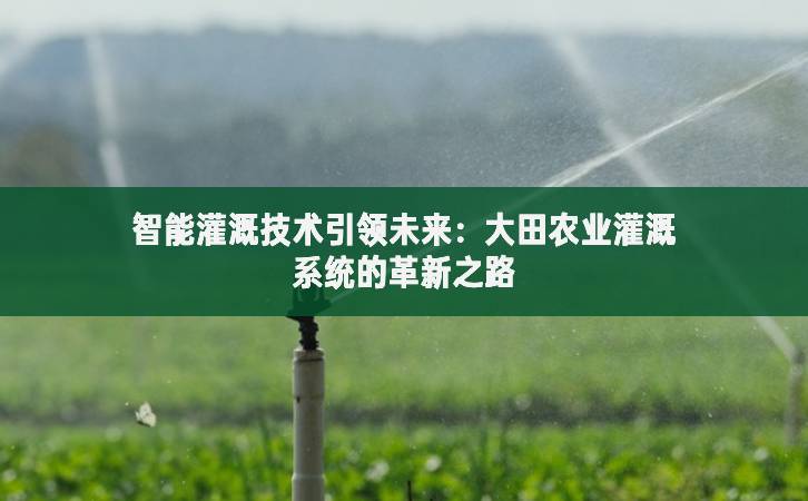 智能灌溉技术引领未来：大田农业灌溉系统的革新之路