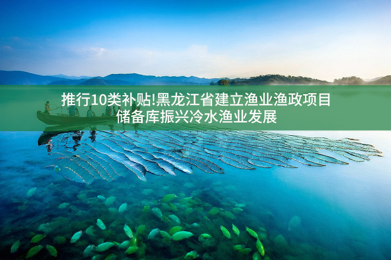 推行10类补贴!黑龙江省建立渔业渔政项目储备库振兴冷水渔业发展