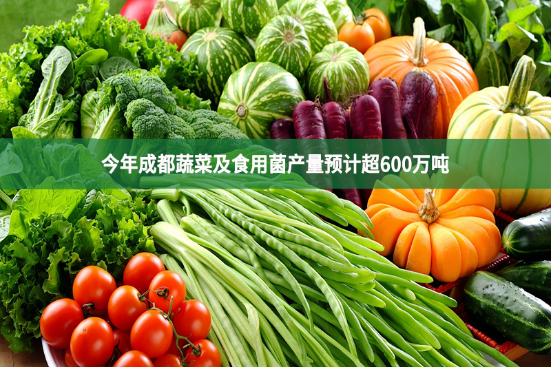 今年成都蔬菜及食用菌产量预计超600万吨