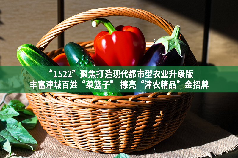 “1522”聚焦打造现代都市型农业升级版 丰富津城百姓“菜篮子” 擦亮“津农精品”金招牌