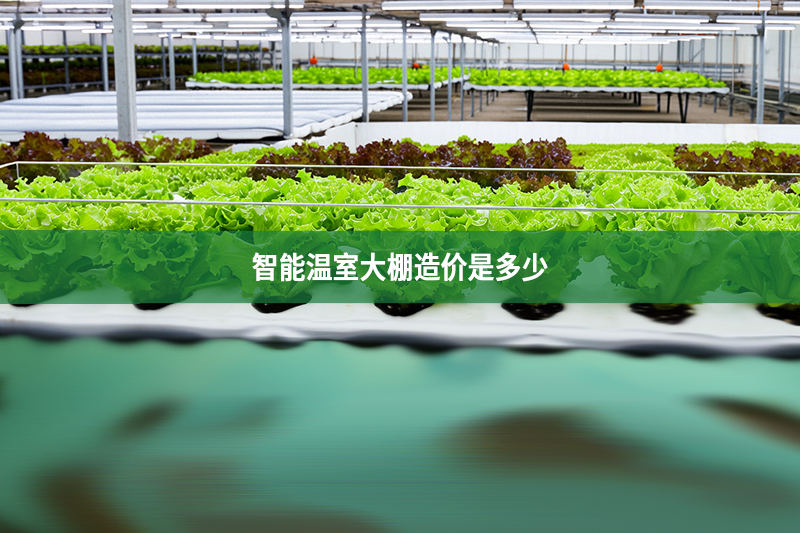 智能温室大棚造价是多少
