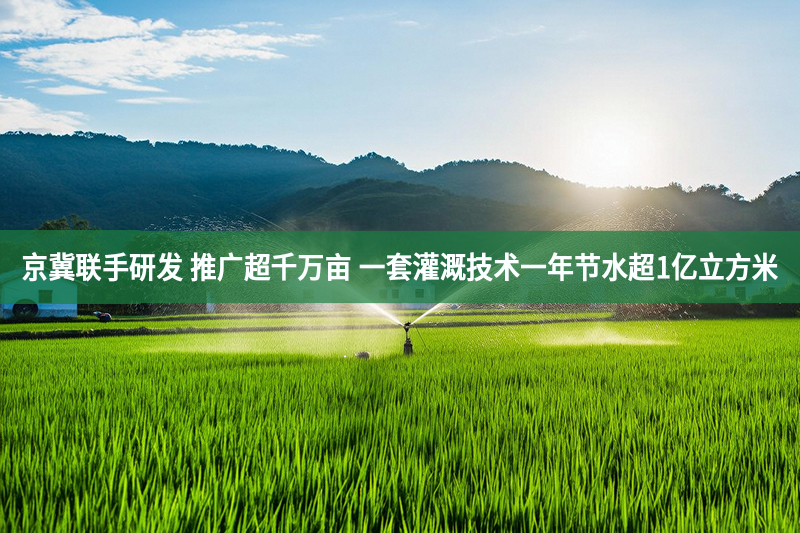 京冀联手研发 推广超千万亩 一套灌溉技术一年节水超1亿立方米