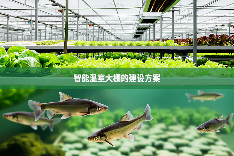 智能温室大棚的建设方案