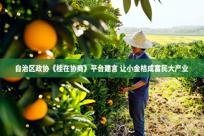 自治区政协《桂在协商》平台建言 让小金桔成富民大产业