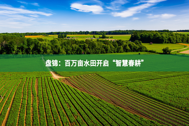 盘锦：百万亩水田开启“智慧春耕”