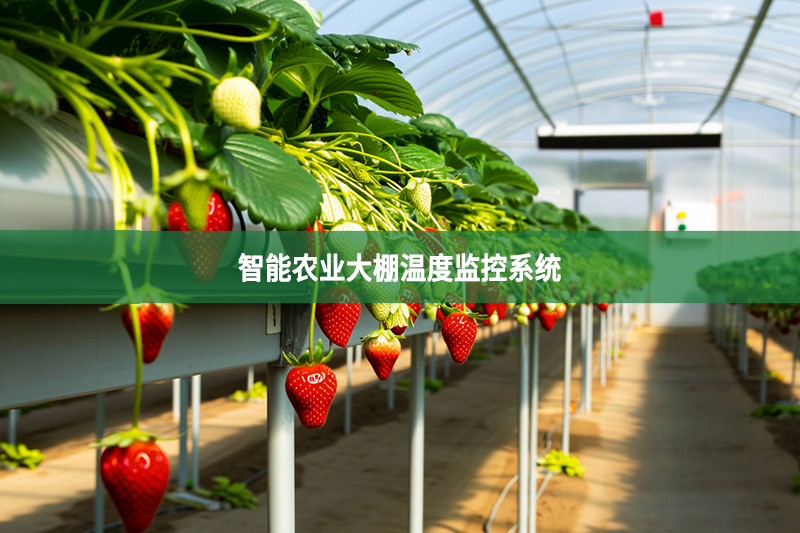 智能农业大棚温度监控系统