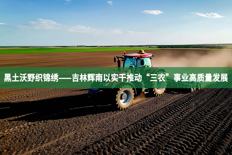 黑土沃野织锦绣——吉林辉南以实干推动“三农”事业高质量发展