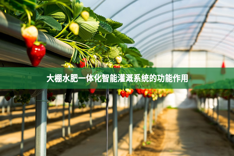 大棚水肥一体化智能灌溉系统的功能作用