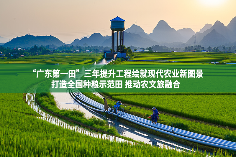 “广东第一田”三年提升工程绘就现代农业新图景 打造全国种粮示范田 推动农文旅融合