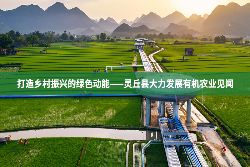 打造乡村振兴的绿色动能——灵丘县大力发展有机农业见闻