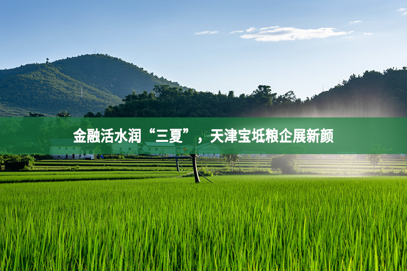 金融活水润“三夏”，天津宝坻粮企展新颜