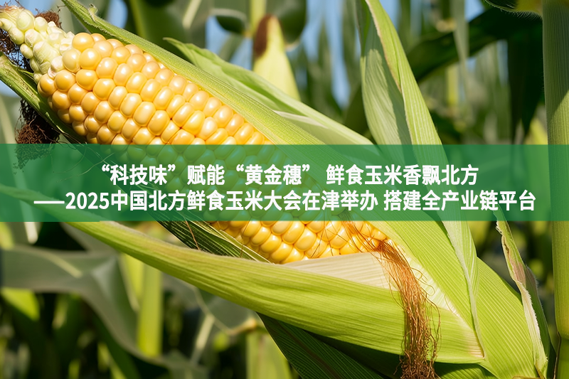 “科技味”赋能“黄金穗” 鲜食玉米香飘北方——2025中国北方鲜食玉米大会在津举办 搭建全产业链平台