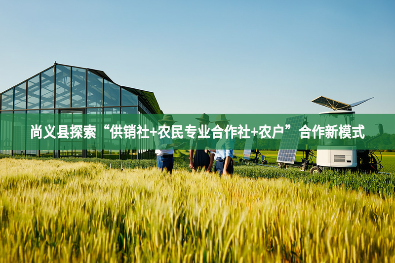 尚义县探索“供销社+农民专业合作社+农户”合作新模式