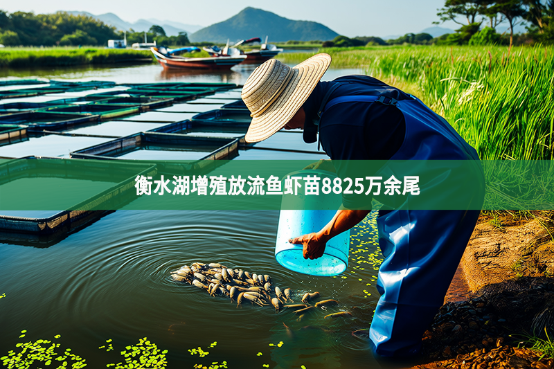 衡水湖增殖放流鱼虾苗8825万余尾