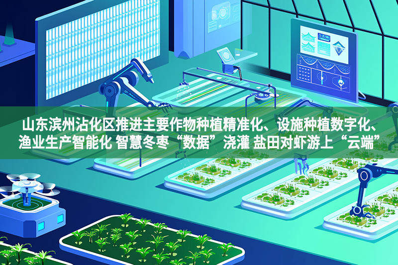 山东滨州沾化区推进主要作物种植精准化、设施种植数字化、渔业生产智能化 智慧冬枣“数据”浇灌 盐田对虾游上“云端”