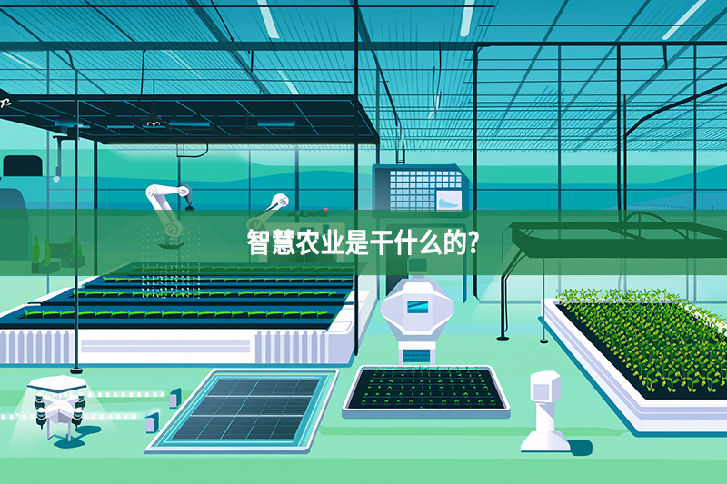 智慧农业是干什么的?