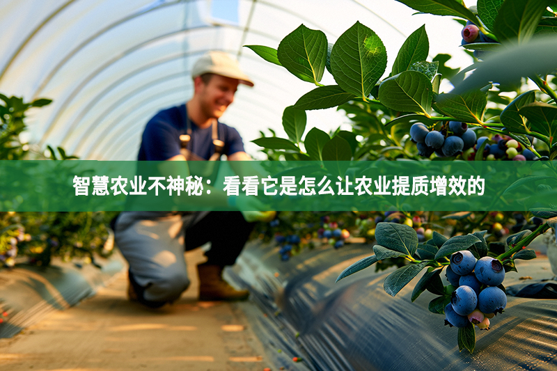 智慧农业不神秘：看看它是怎么让农业提质增效的