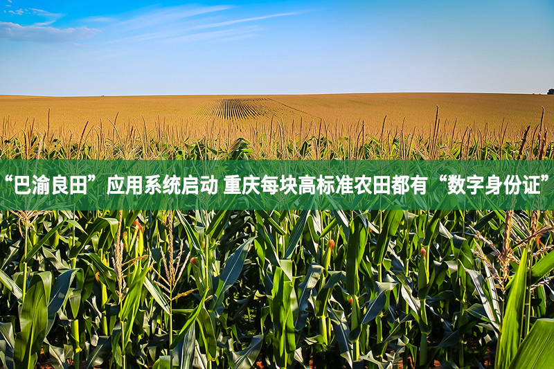 “巴渝良田”应用系统启动 重庆每块高标准农田都有“数字身份证”