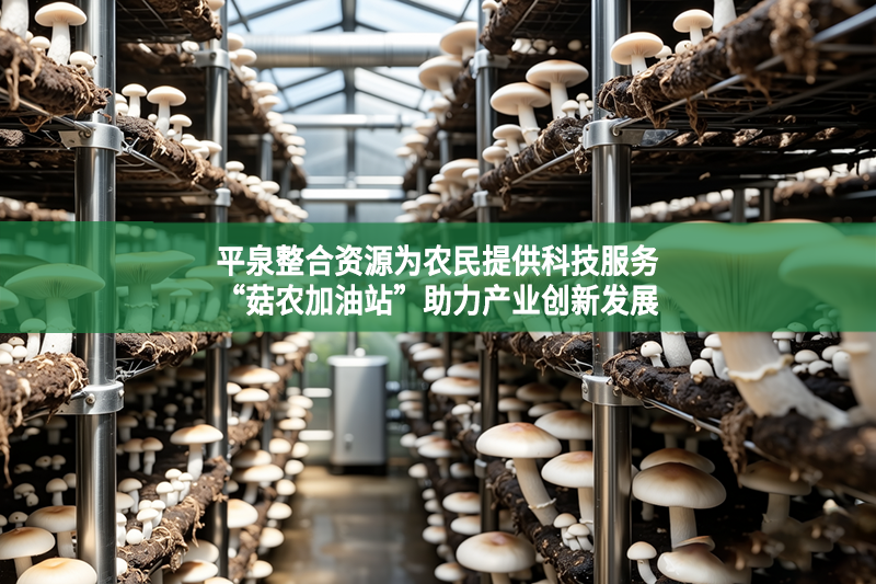 平泉整合资源为农民提供科技服务 “菇农加油站”助力产业创新发展