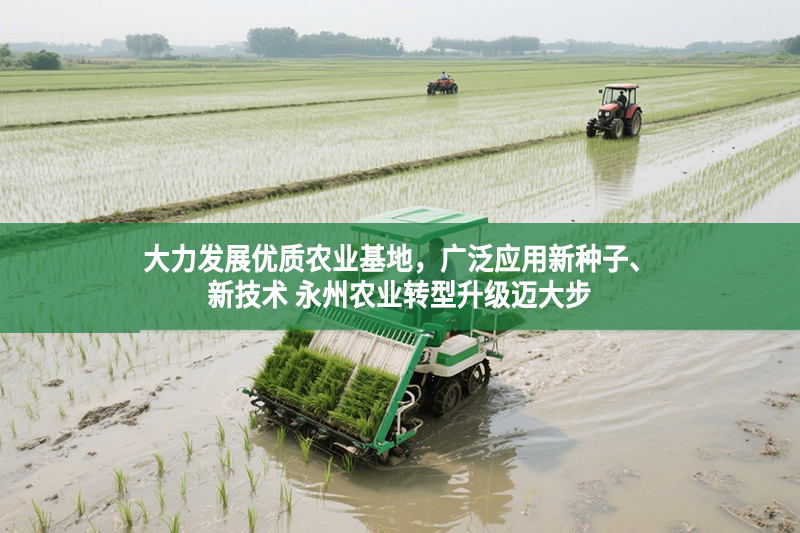 大力发展优质农业基地，广泛应用新种子、新技术 永州农业转型升级迈大步