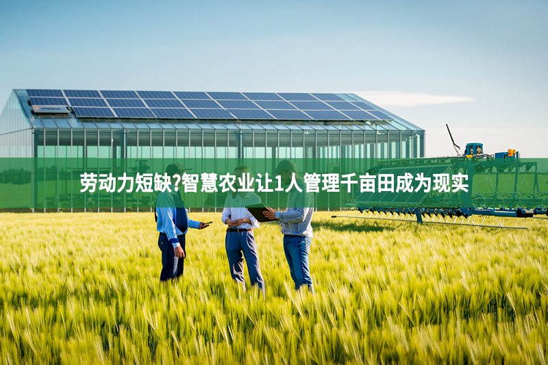 劳动力短缺?智慧农业让1人管理千亩田成为现实